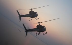 Braziliaans leger koopt 27 Airbus H125 helikopters