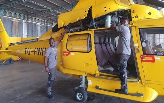 NHV haalt Dauphins terug uit Abidjan 